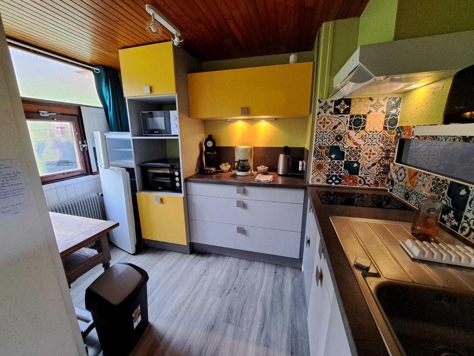 Appartement Duplex Avec Vue Sur Le Sancy Et Garage Couvert Murat-le-Quaire 外观 照片